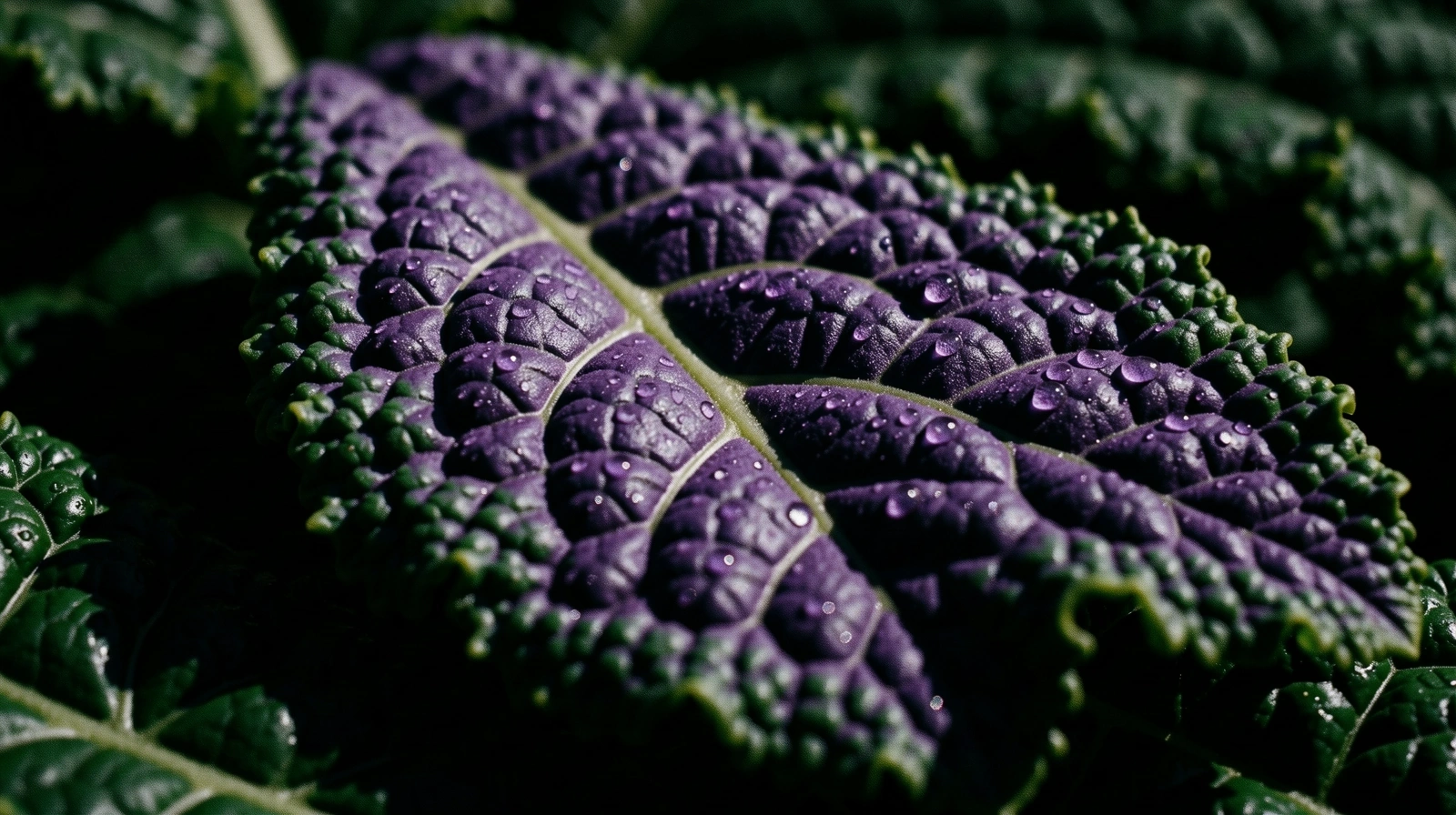 Macro view of vibrant organic textures